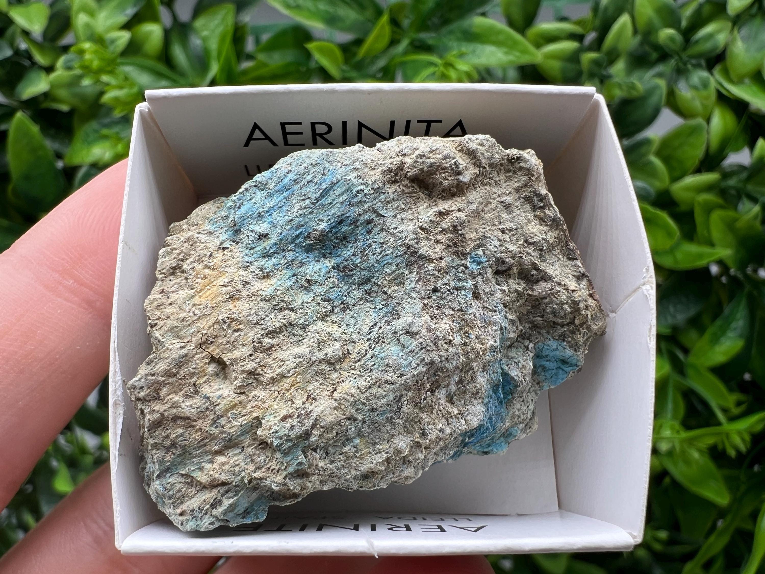 Rare Raw Aerinite Mineral Specimen: Lleida, Spain (4.5/3.5 CM)