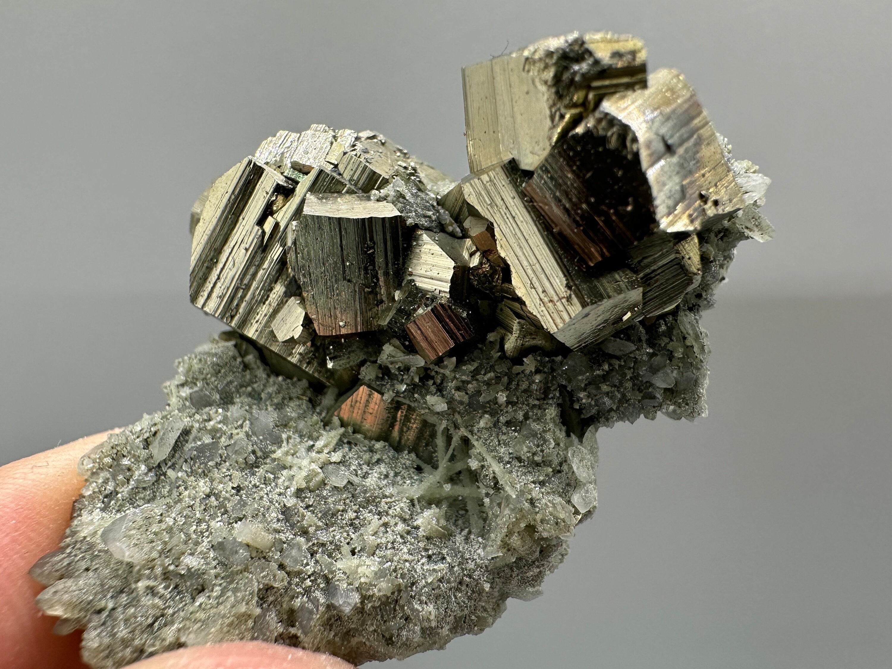 Golden Pyrite on Quartz with Chlorite - Borieva Mine Bulgaria