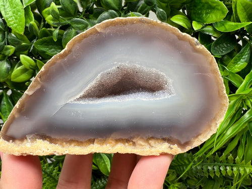Blue Agate Druzy Geode, Natural Crystal Quartz