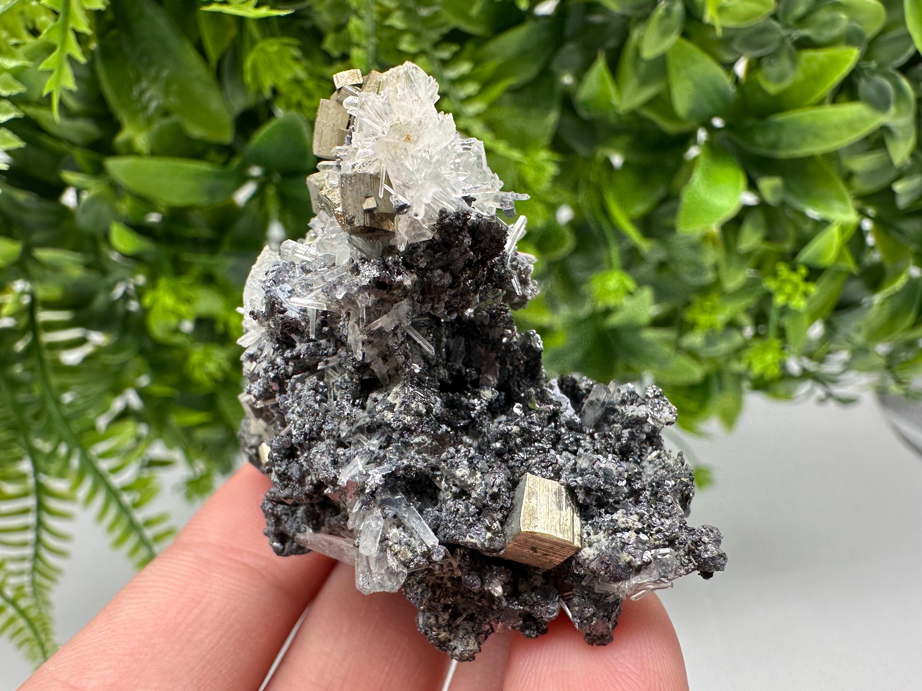 Pyrite on Green Quartz: Rare Crystal Mineral Specimen, Bulgaria