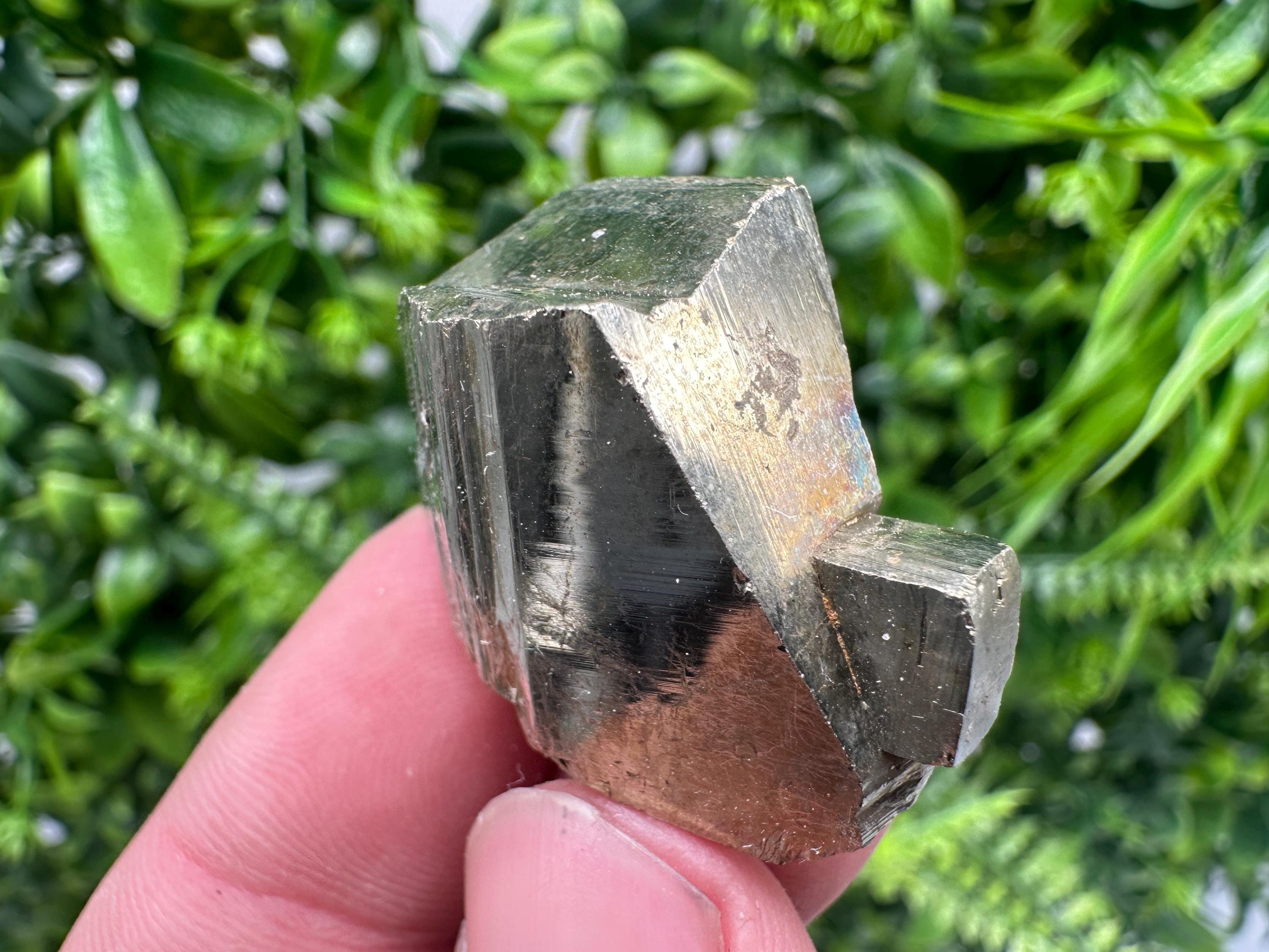 Rare crystallisation Pyrite,Borieva mine,Bulgaria,floating Pyrite,golden Pyrite,Pyrite cluster,mini Collection specimen,Rainbow Pyrite