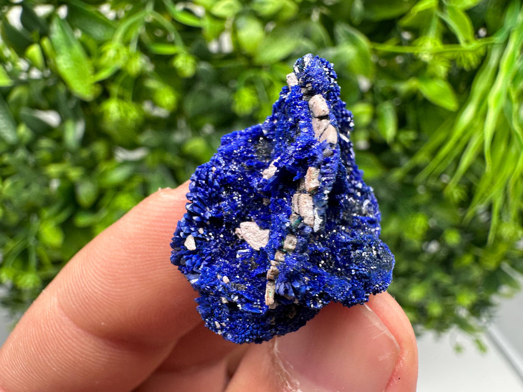 Crystallized Azurite-Kerrouchen,Morocco-Blue Azurite Specimen-High Quality Blue Azurite-Azurite Mineral Specimen, gemmy,lustrous of Azurite