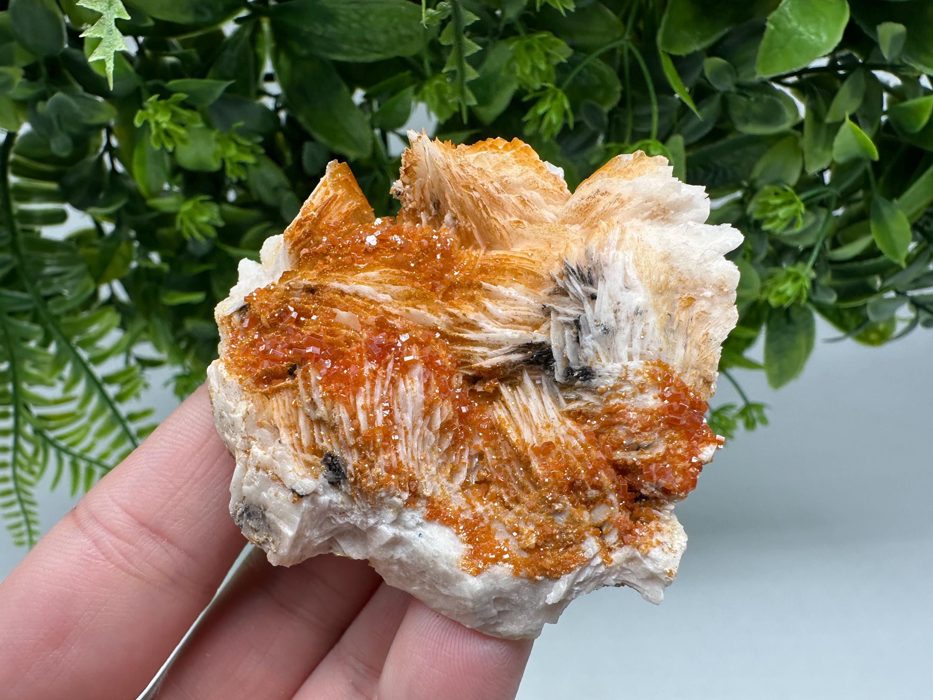 Red Vanadinite on Barite Crystal Specimen, Moroccan Mineral Cluster