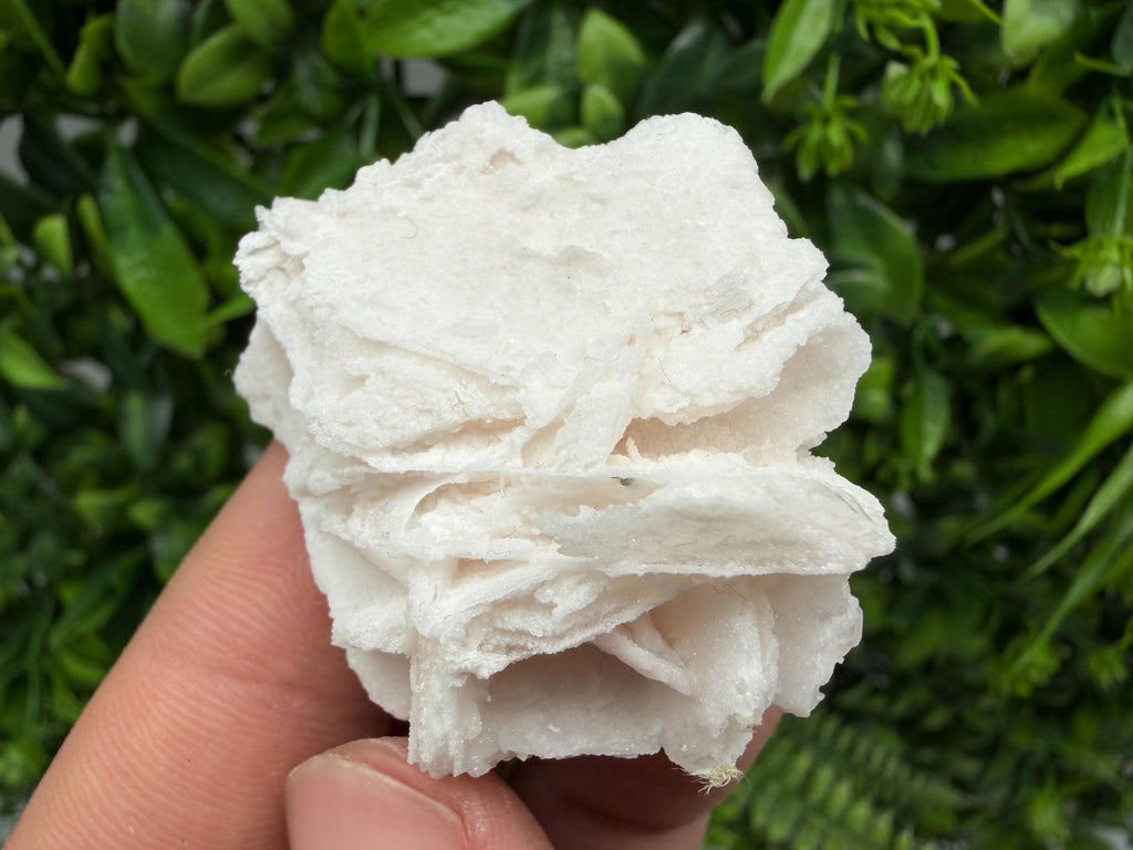 Mangano Calcite with Galena, Borieva Mine, Bulgaria