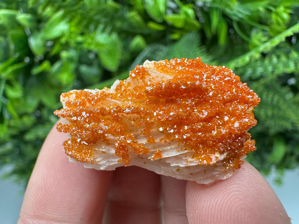 Red Vanadinite on Barite Cluster, Moroccan Crystal Specimen