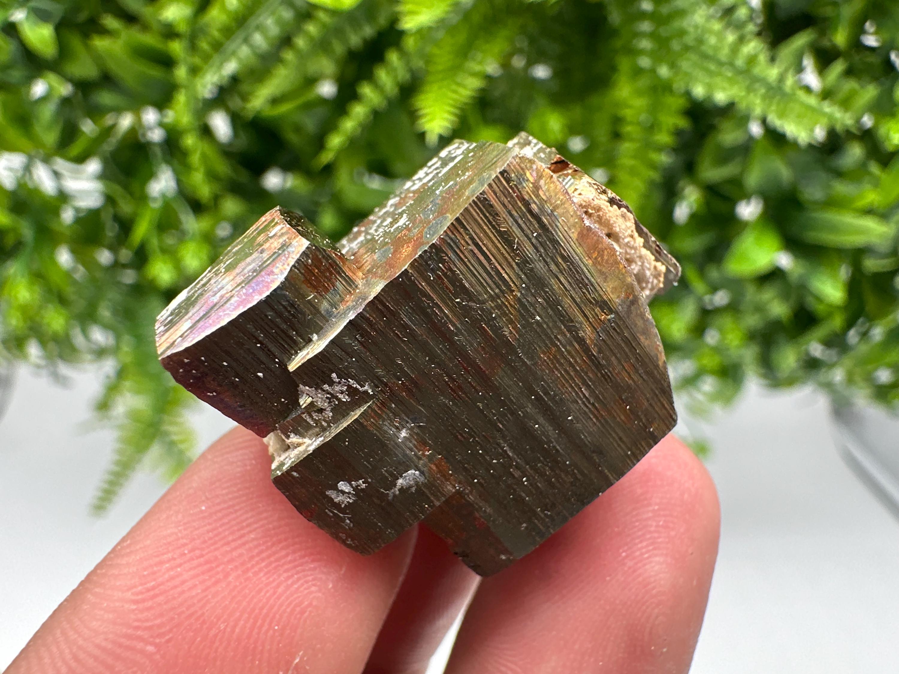 Rainbow Pyrite with Calcite, Natural Mineral Souvenir from Borieva Bulgaria