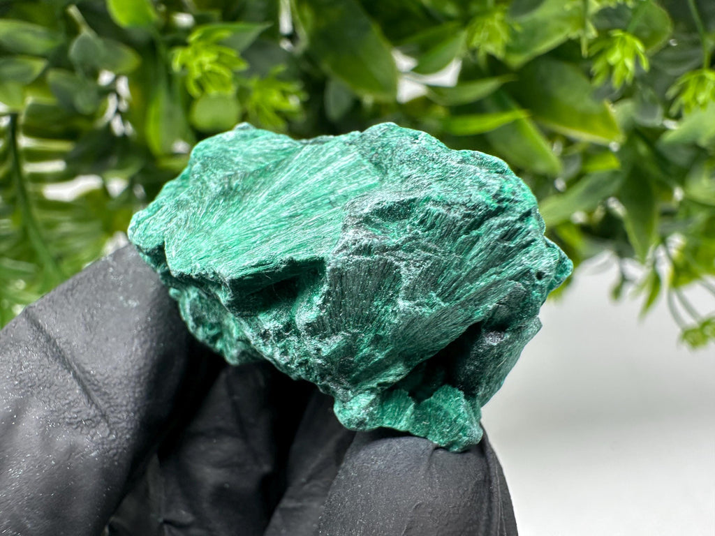 Malachite Crystal from Congo,Minerals,Crystals from Congo,Green Malachite, Malachite,Natural Malachite,Malachite Stone,Chakra, Specimens