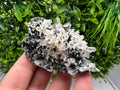 Wonderful Calcite,Quartz on Chlorite matrix,from Borieva mine,Madan,Bulgaria,natural collection mineral specimen,rare crystal,home decor