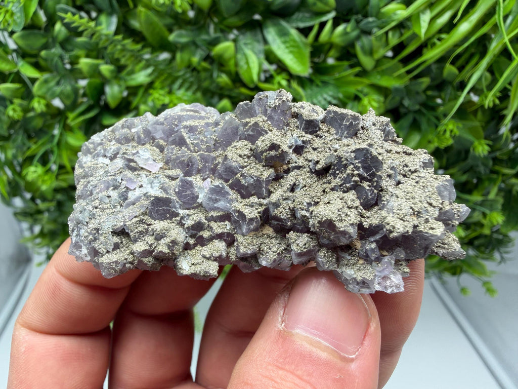 Amethyst Phantom Cluster, Chala Mine Bulgaria, Rare Crystal Specimen