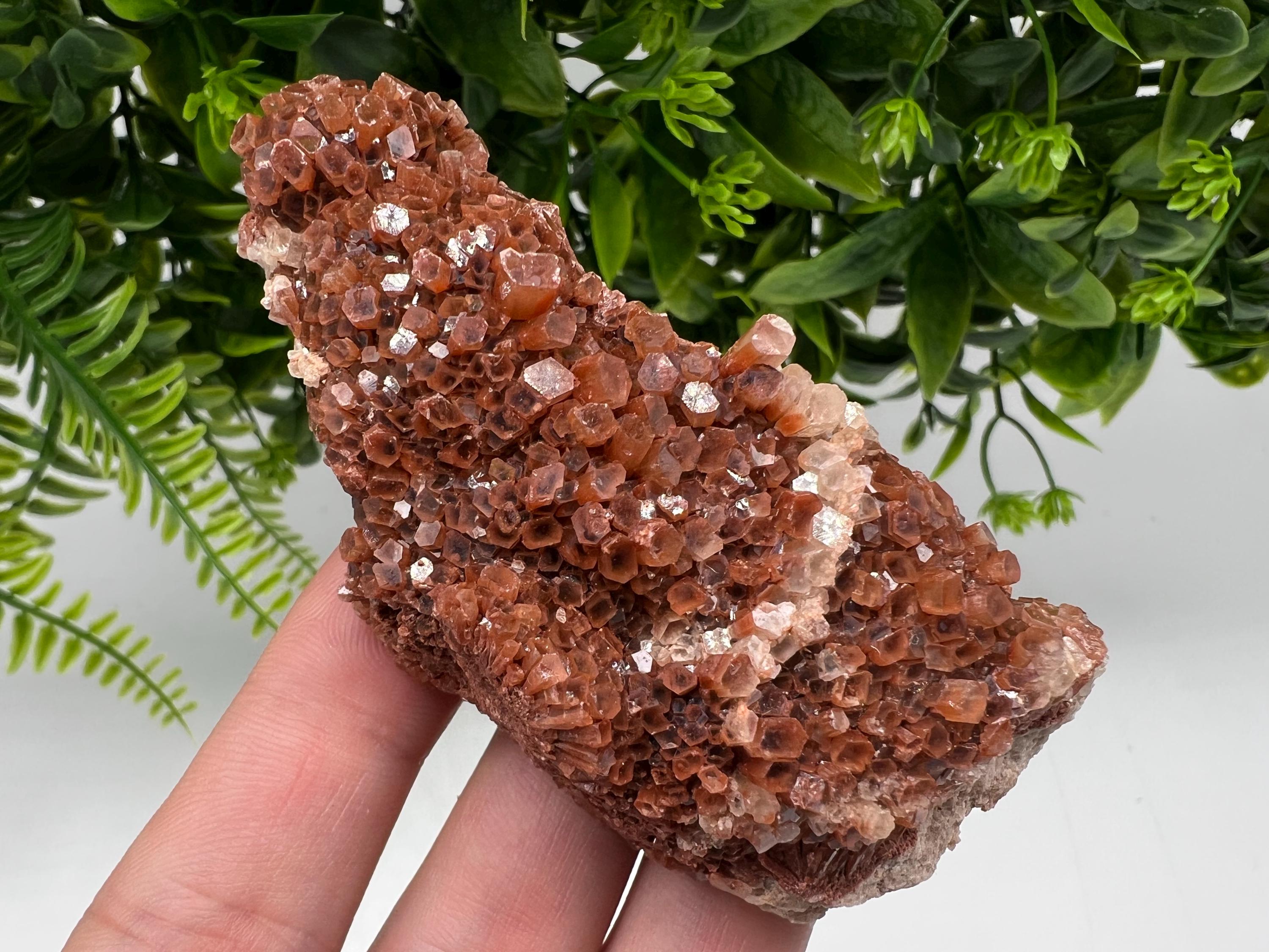 Large Aragonite Sputnik Cluster, Raw Moroccan Crystal Decor