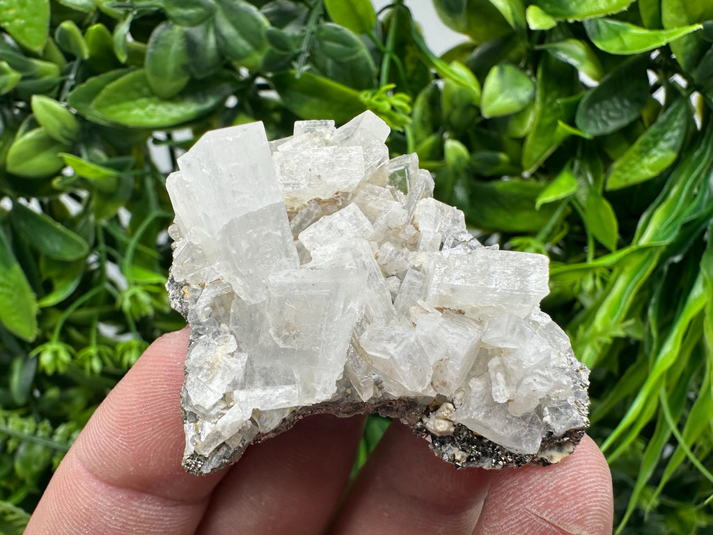 Large Barite Marcasite Cluster on Chalcedony, Bulgaria Mineral Specimen