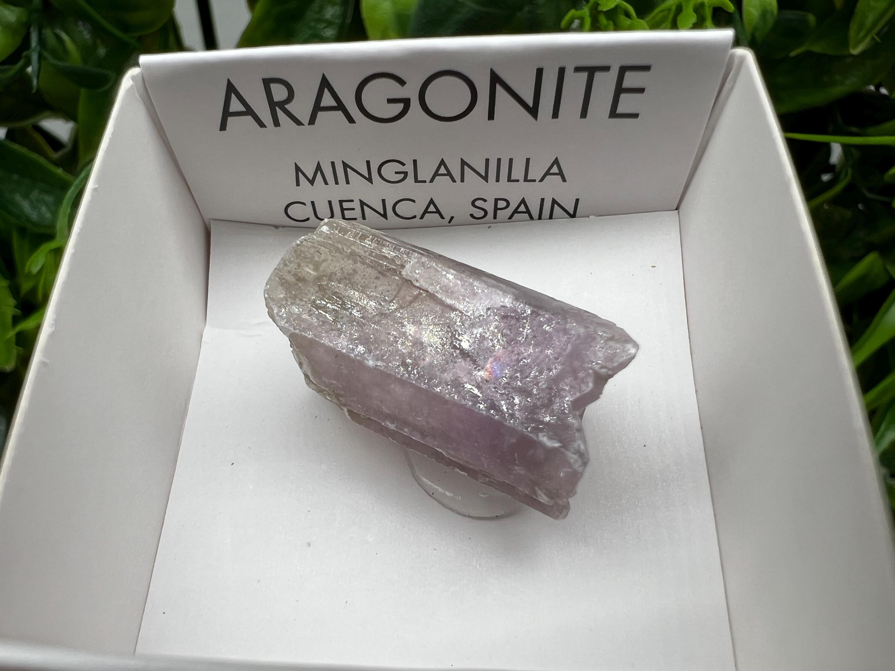 Amazing Aragonite from Spain,Aragonite crystal,cluster,natural,mineral,specimen,Purple Aragonite,Spanish Aragonite,Mineralcollection