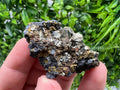 Golden Pyrite Cluster: Sphalerite Mineral Specimen, Bulgaria