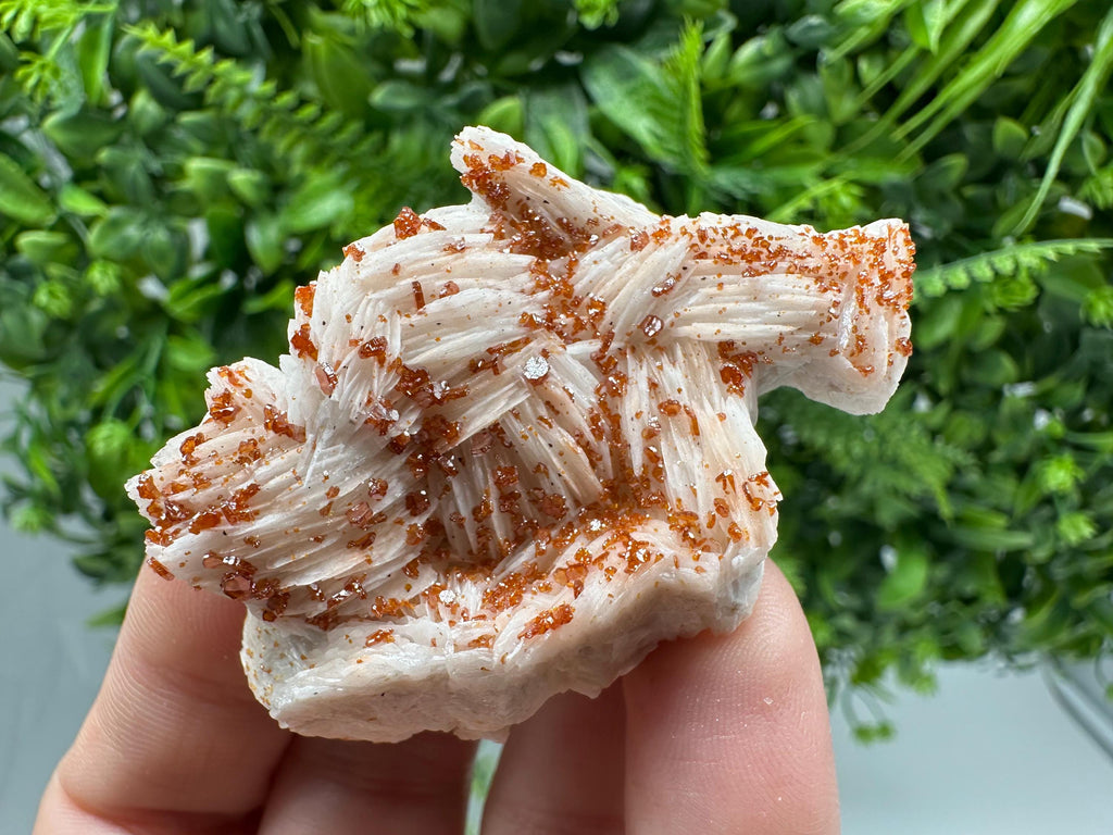 Red Vanadinite on Barite, Moroccan Crystal Specimen