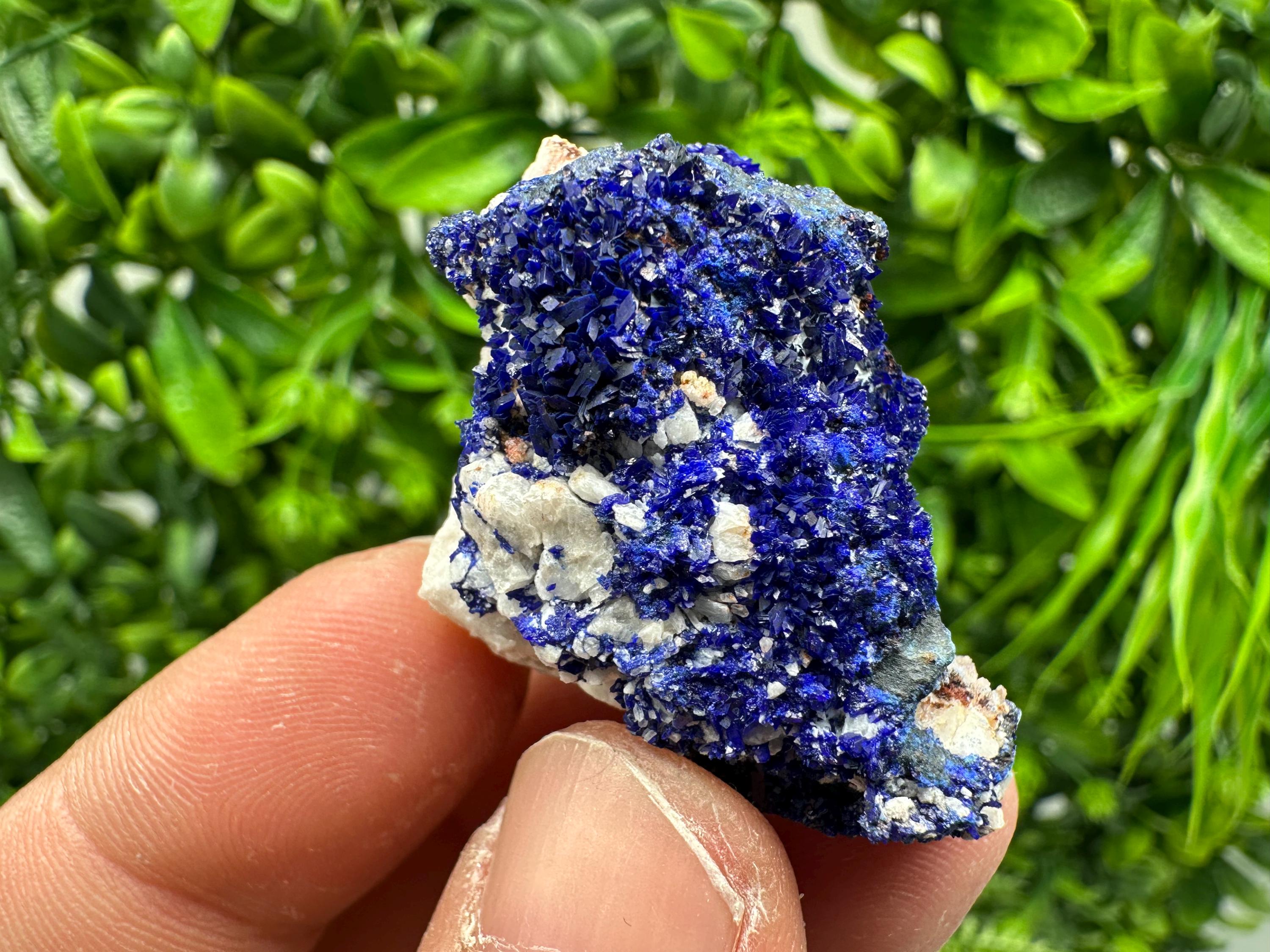 Crystallized Azurite-Kerrouchen,Morocco-Blue Azurite Specimen-High Quality Blue Azurite-Azurite Mineral Specimen, gemmy,lustrous of Azurite