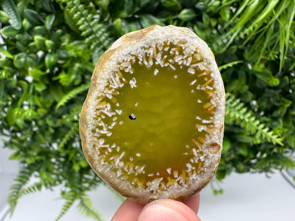 Agate Slice: Spiritual Healing Crystal Coaster Ornament