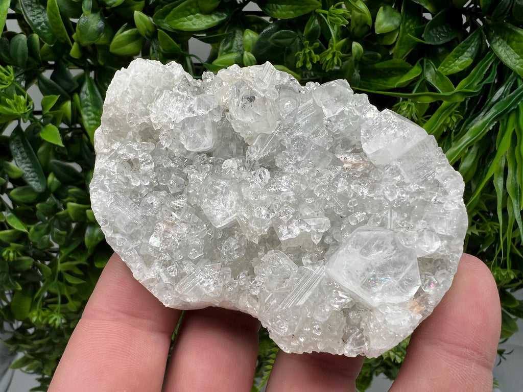 Transparent Apophyllite on Chalcedony, Natural Crystal Mineral Specimen, India