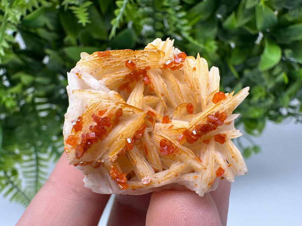 Red Vanadinite on Barite from Marocco,crystal minerals Speciment cluster Vanadinite crystal Vanadinite Geology Vanadinite cluster minerals