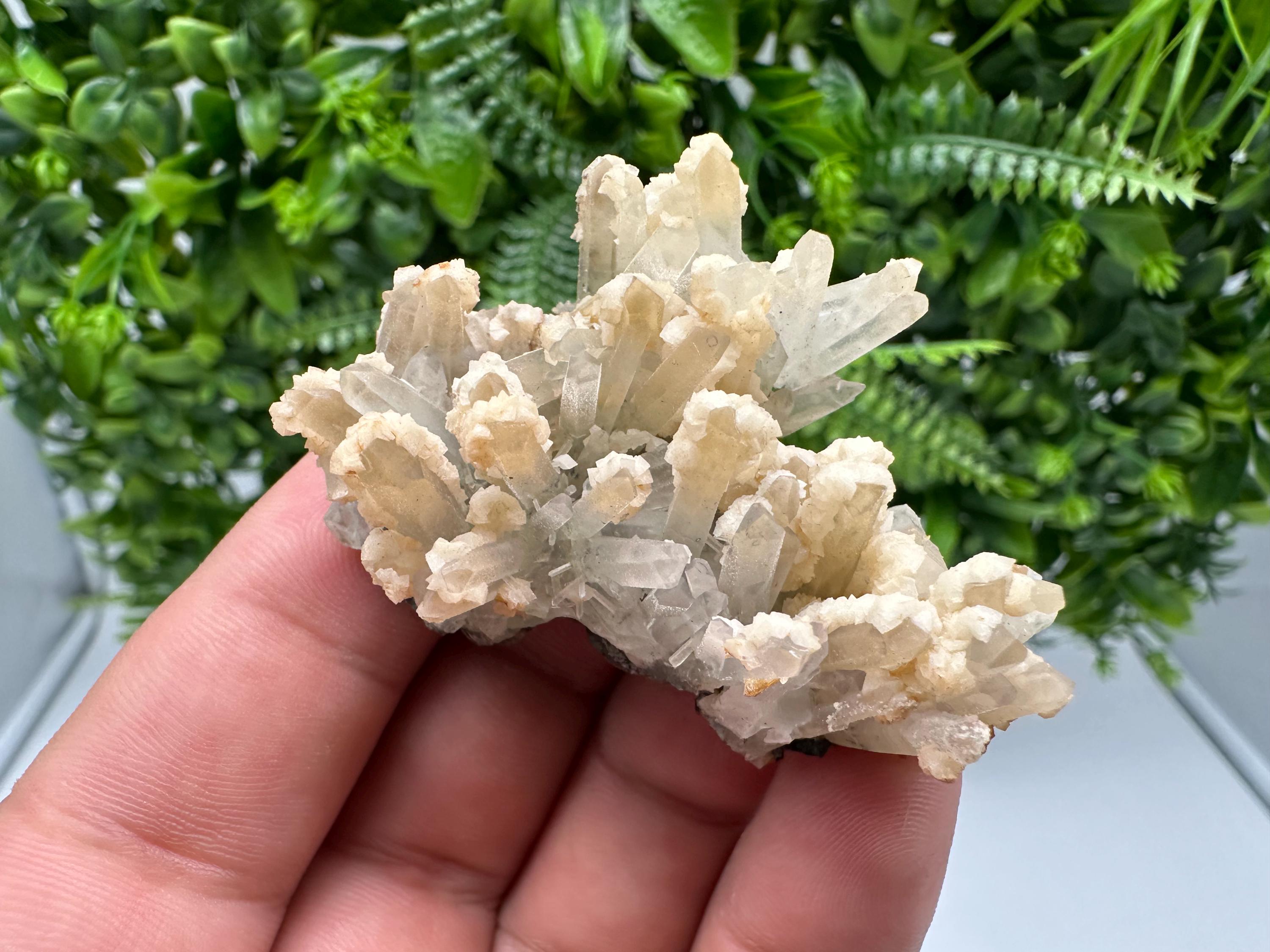 Calcite on Green Quartz: Djurcovo Mine, Bulgaria Healing Crystal