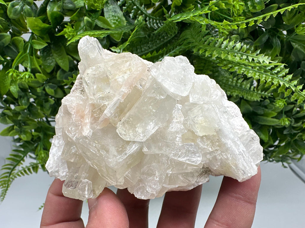 Apophyllite Stilbite Cluster on Chalcedony, India Crystal Mineral Specimen