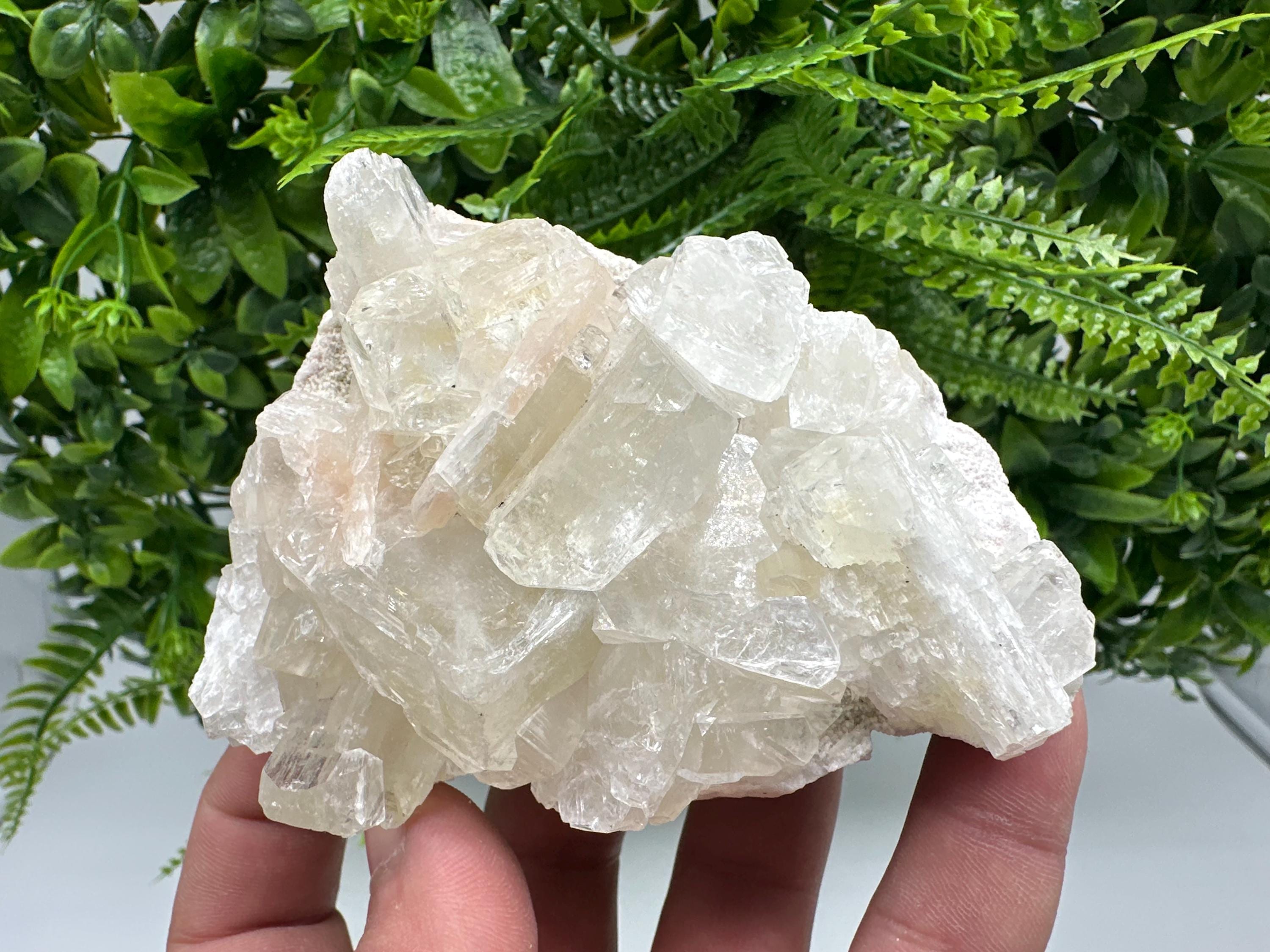 Apophyllite Stilbite Cluster on Chalcedony, India Crystal Mineral Specimen
