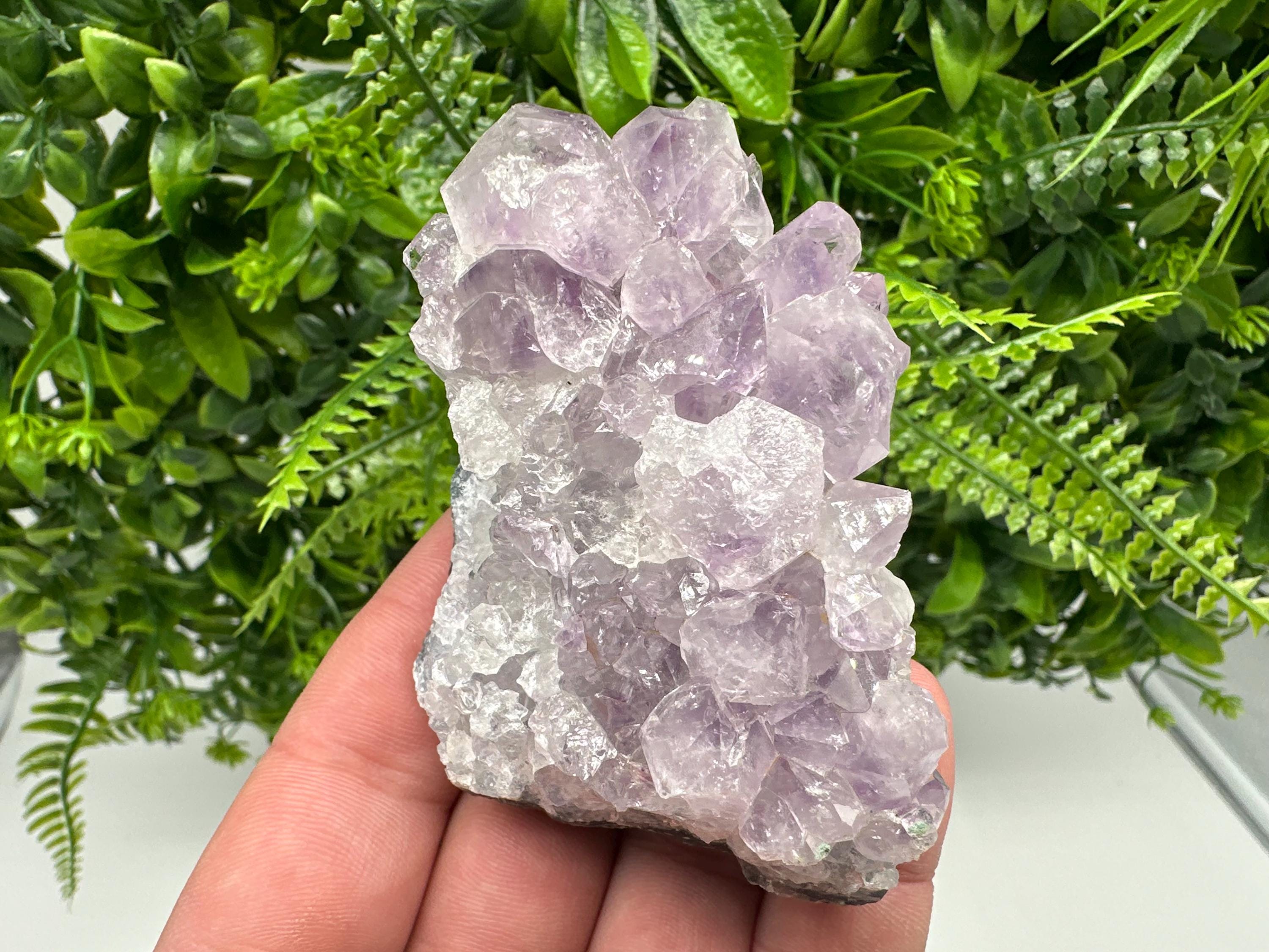 Brazilian Amethyst Cluster, Purple Quartz Specimen