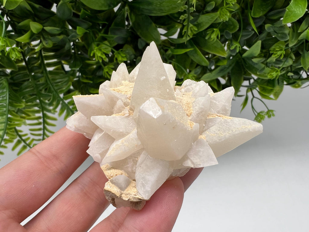 Calcite on Green Quartz: Djurcovo Mine, Bulgaria Healing Crystal