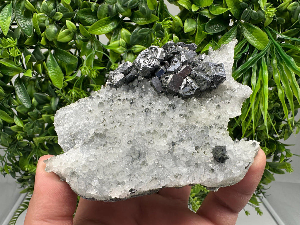 Galena on Quartz Specimen, Cleiophane Mineral, Krushev dol Mine, Bulgaria