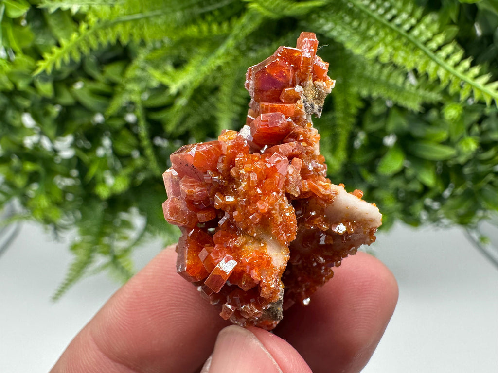 Red Vanadinite on Barite from Marocco,crystal minerals Speciment cluster Vanadinite crystal Vanadinite Geology Vanadinite cluster minerals