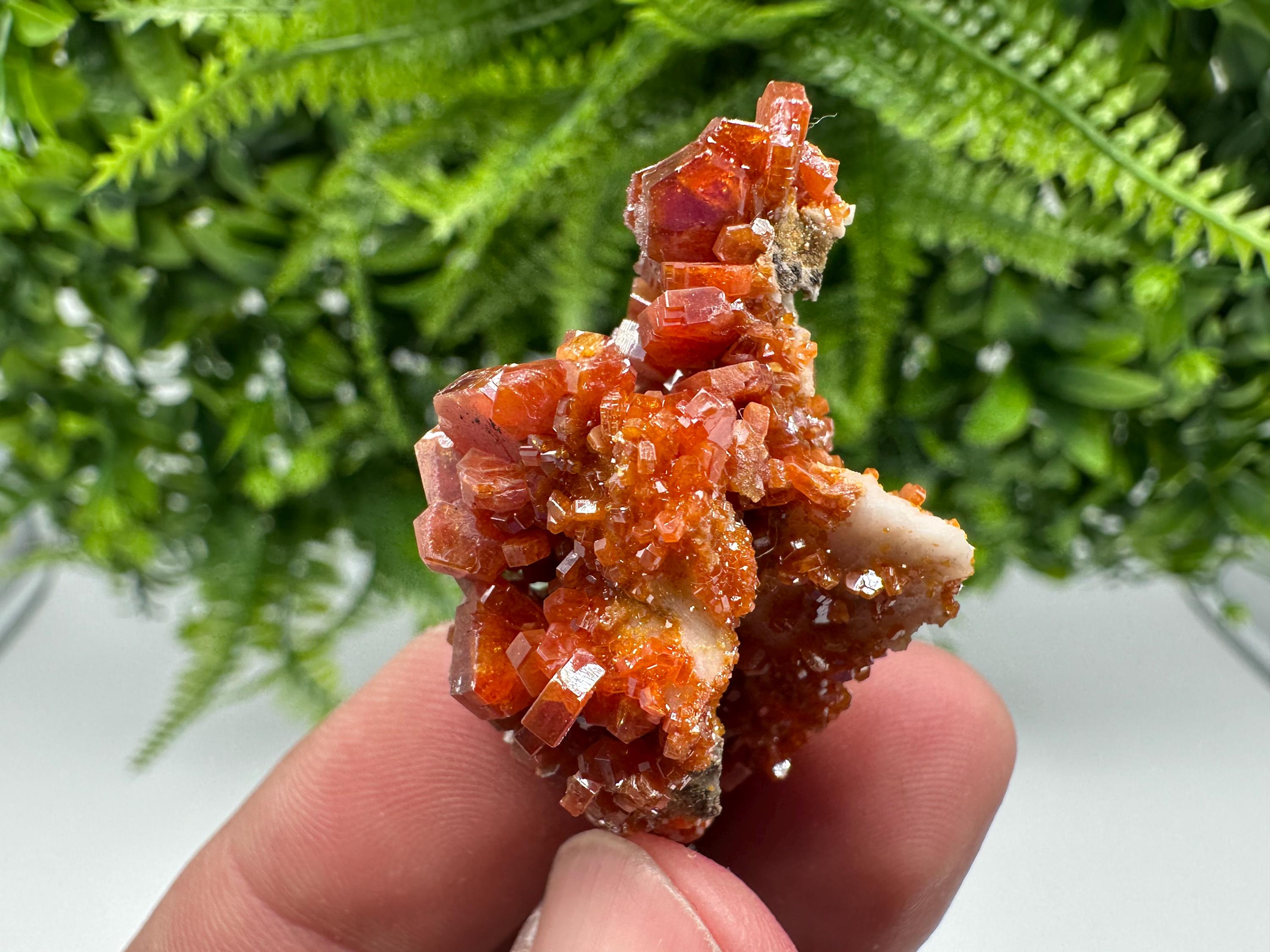 Red Vanadinite on Barite from Marocco,crystal minerals Speciment cluster Vanadinite crystal Vanadinite Geology Vanadinite cluster minerals