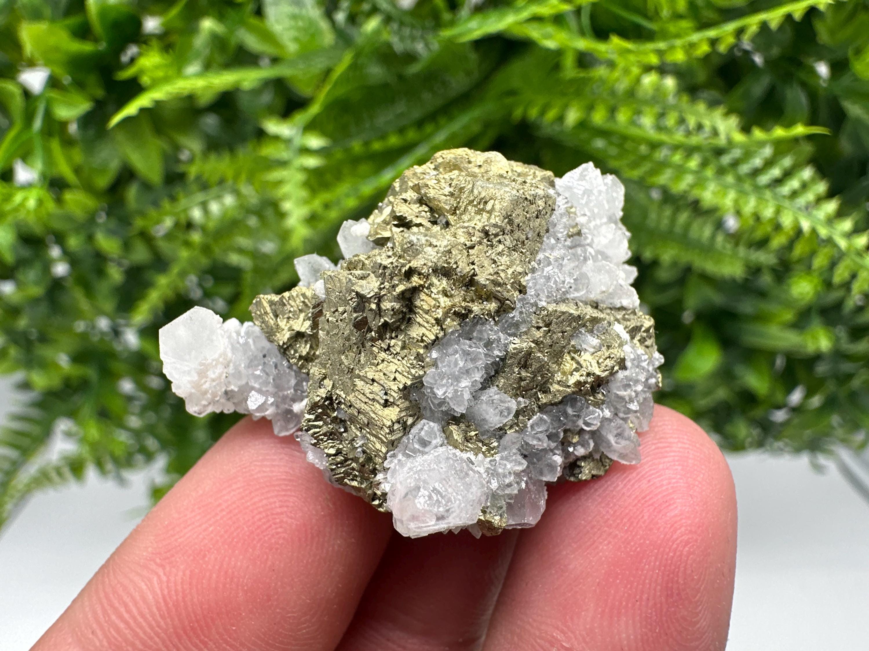 Chalcopyrite on Quartz Specimen, Krushev dol Mine, Bulgaria