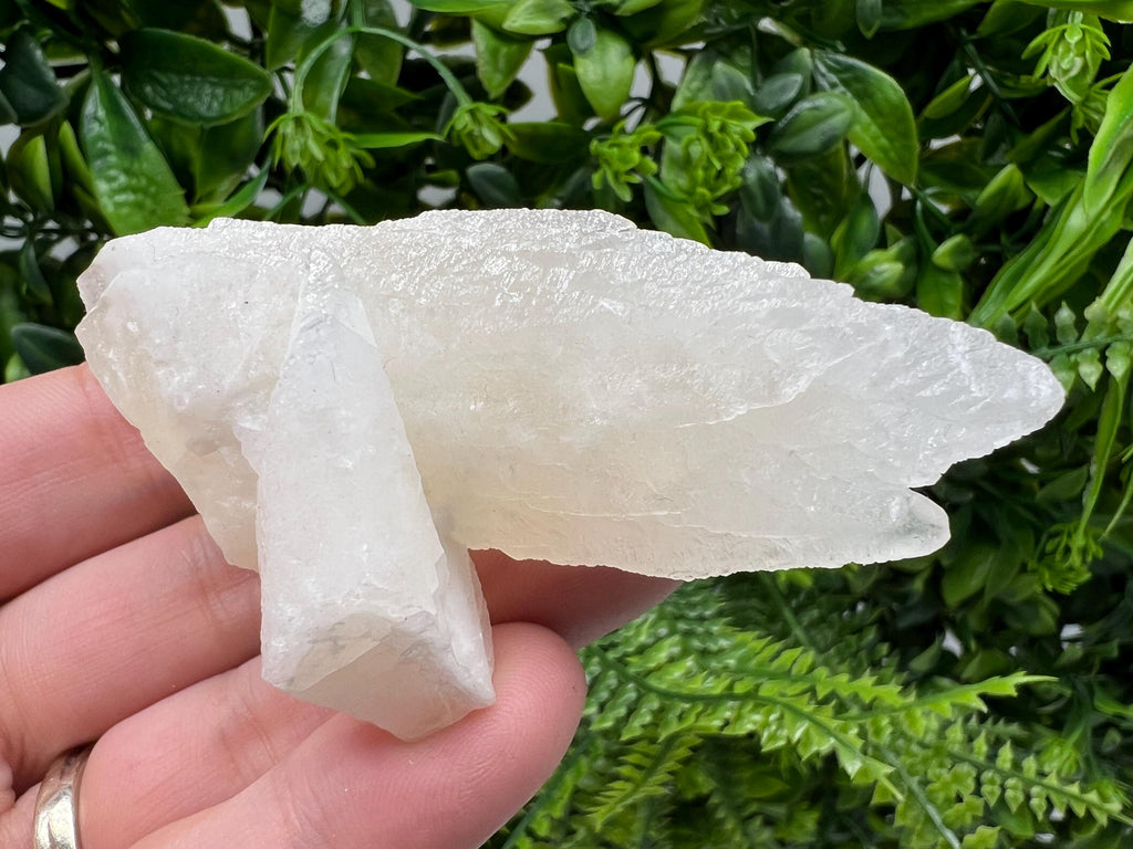 Calcite on Green Quartz: Djurcovo Mine, Bulgaria - Healing Crystal