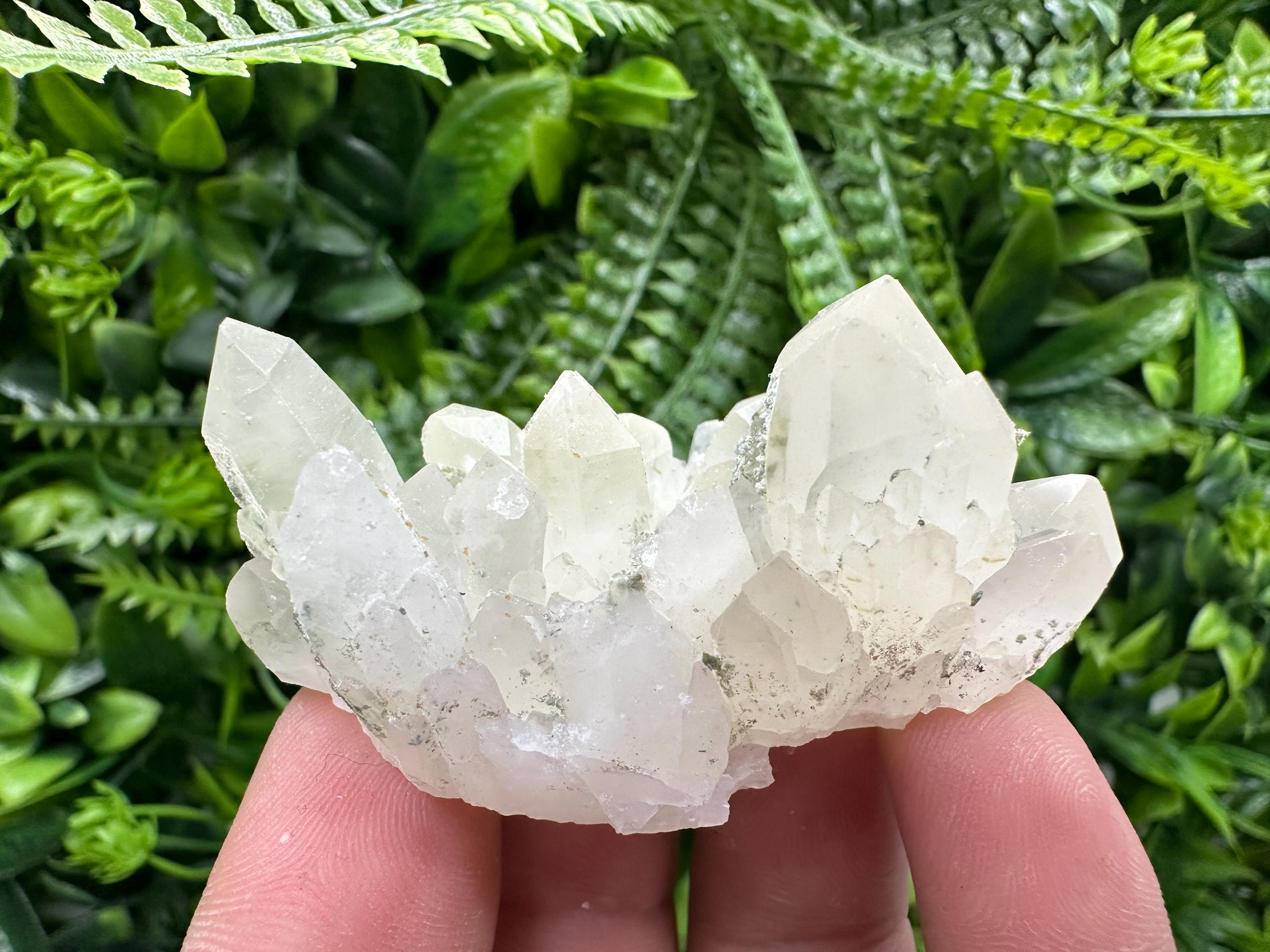 Limonite Quartz with Chlorite Inclusion: Djurcovo Laki Bulgaria Crystal