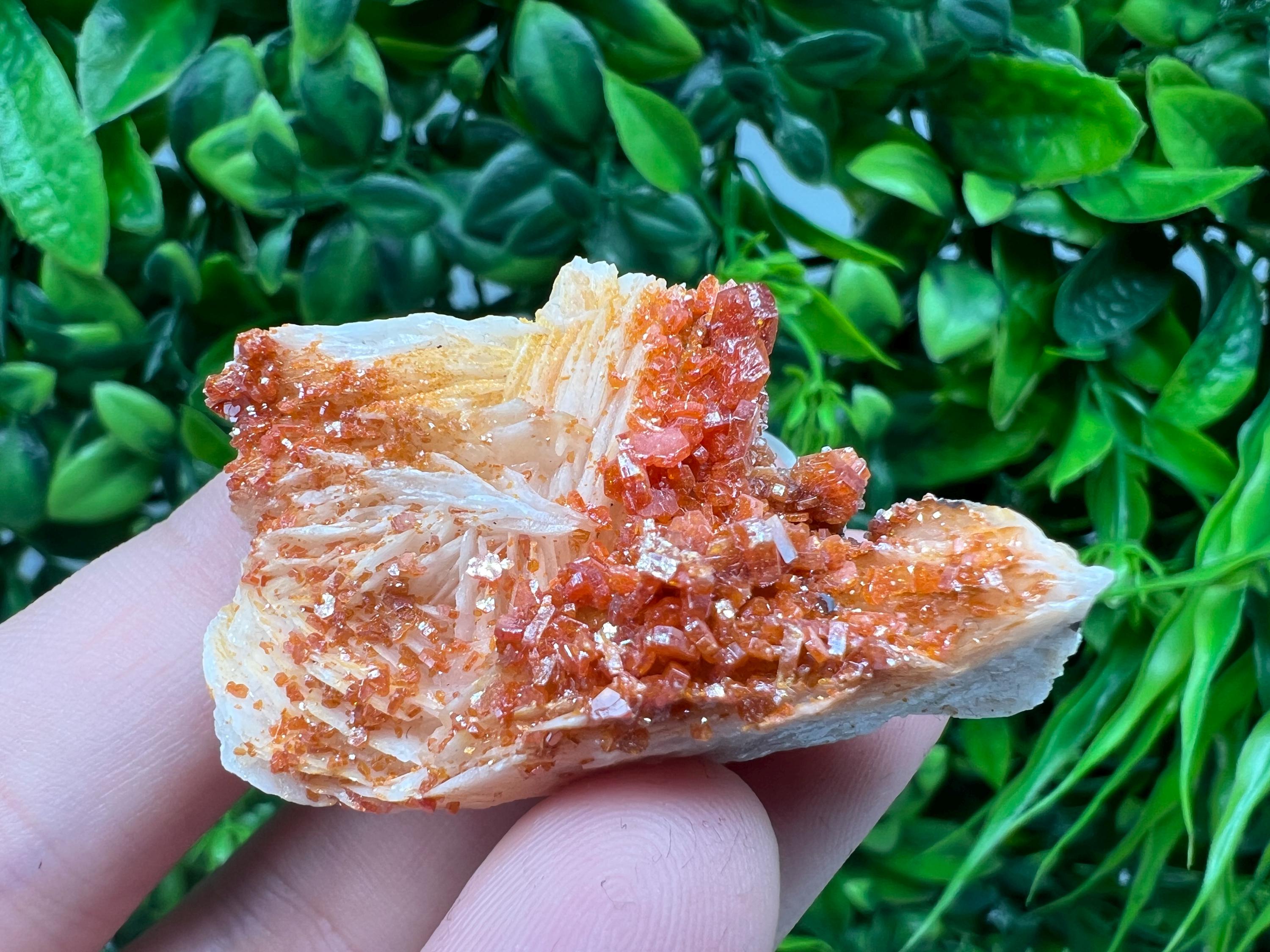 Red Vanadinite on Barite Specimen, Morocco Crystal Mineral