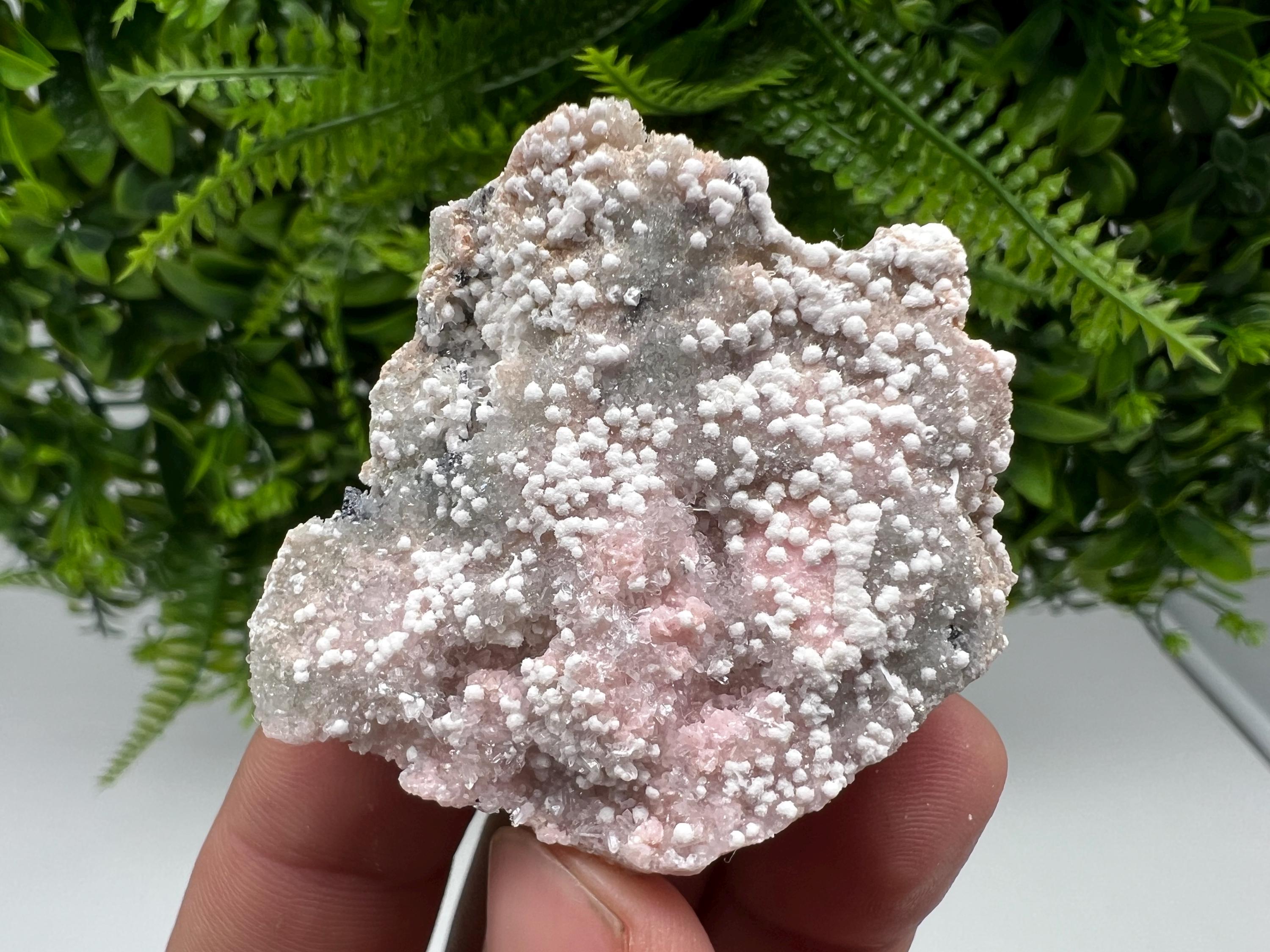 RARE Rhodochrosite with White Calcite, Starnica Mine, Bulgaria