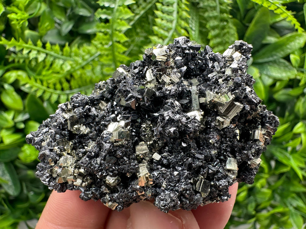 Golden Pyrite with Sphalerite, Borieva Mine Mineral Specimen