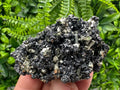 Golden Pyrite with Sphalerite, Borieva Mine Mineral Specimen