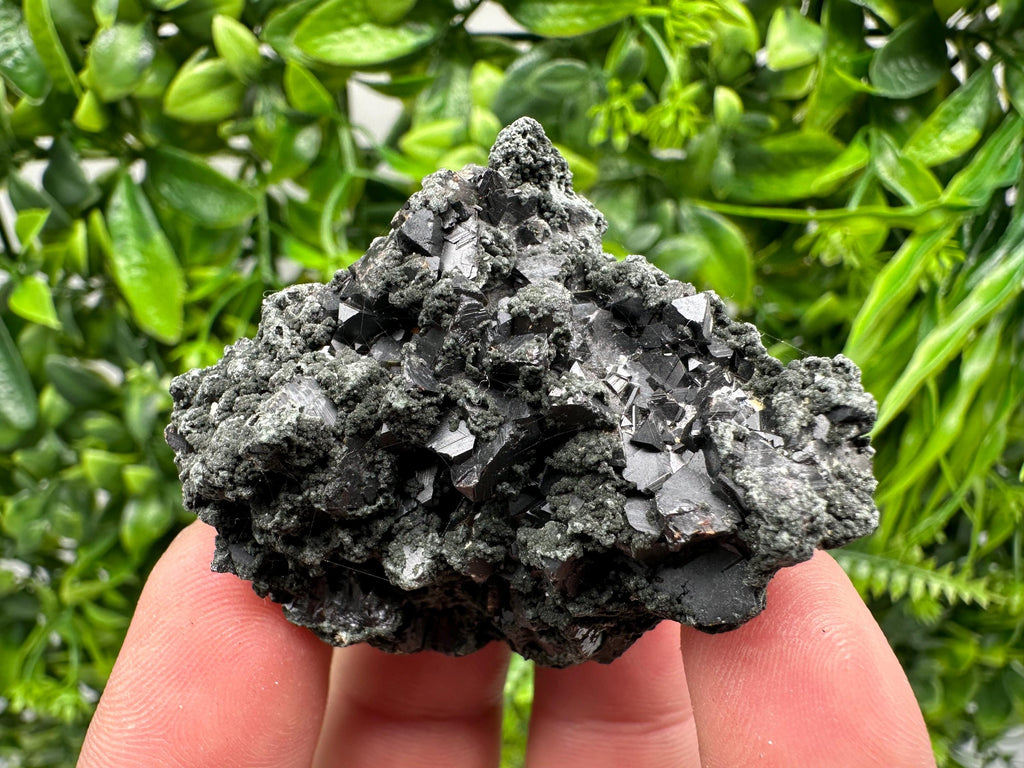 Sphalerite Galena with Chlorite Mineral Specimen, Bulgaria
