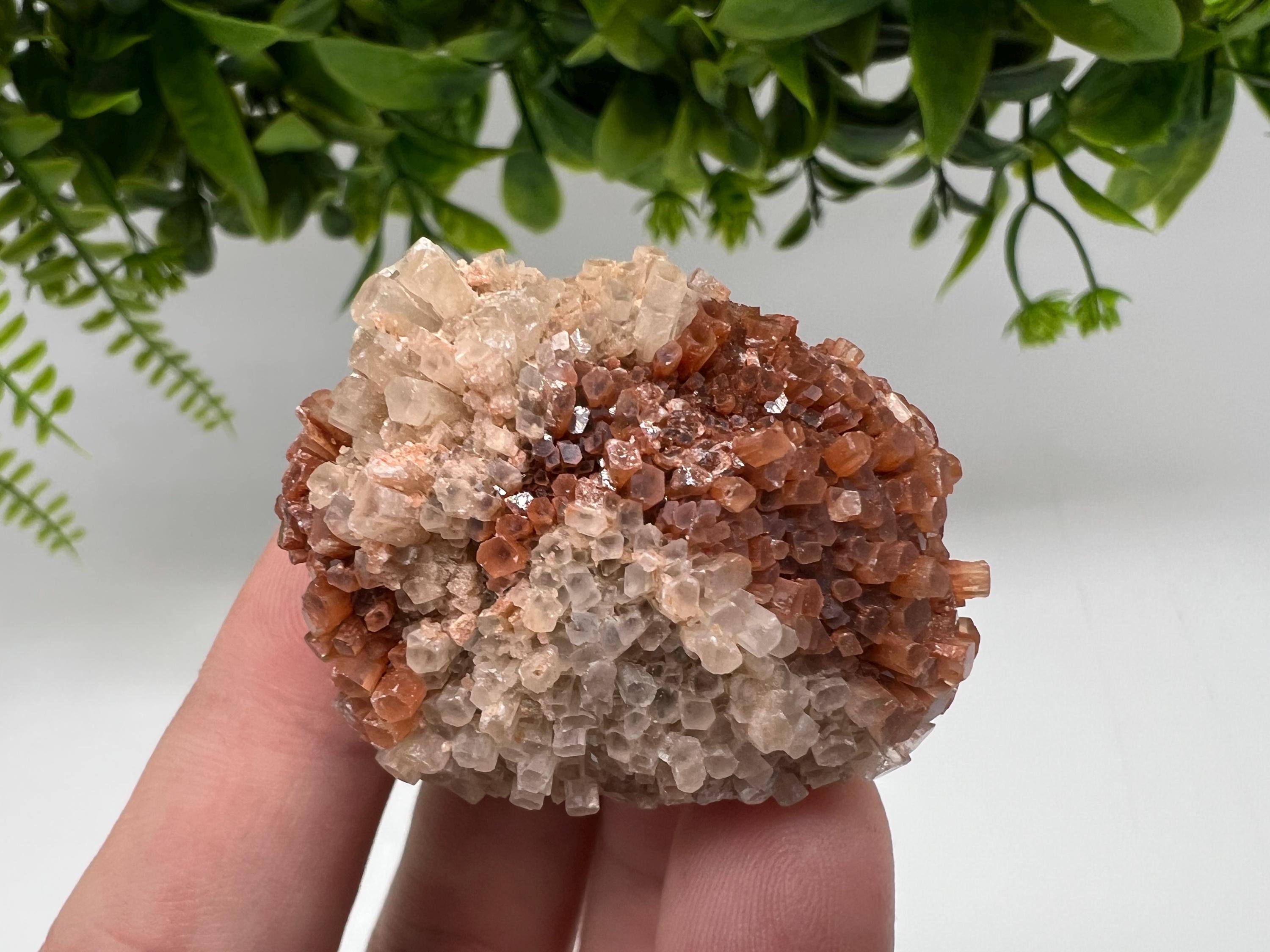 Extra Large Aragonite Sputnik Cluster: Moroccan Raw Crystal Stone