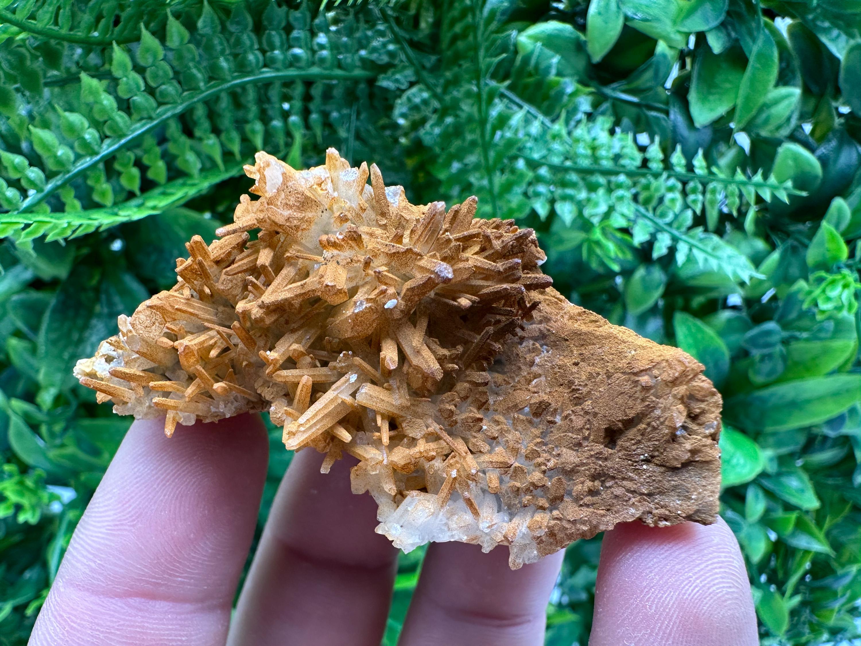 Limonite Coated Quartz Crystal - Iron Oxide Mineral Specimen