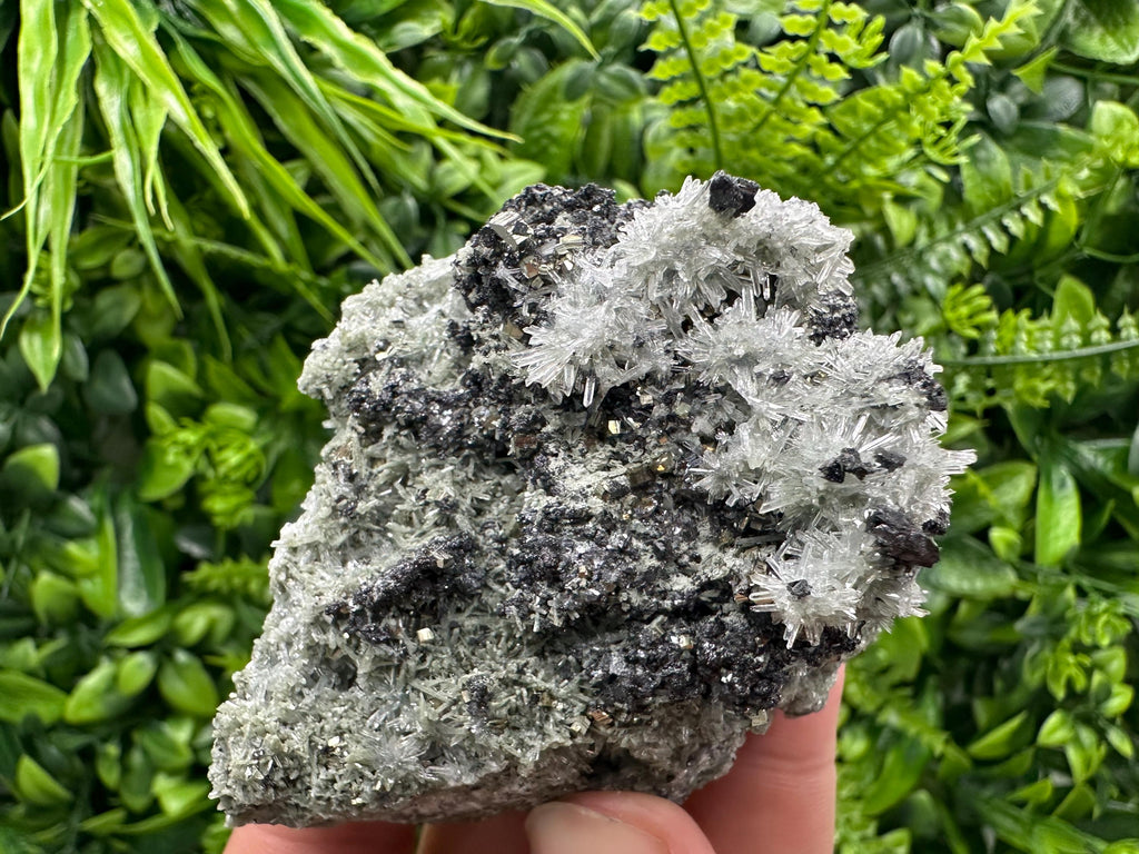 Sphalerite Pyrite on Quartz with Chlorite, Borieva Mine Mineral Specimen