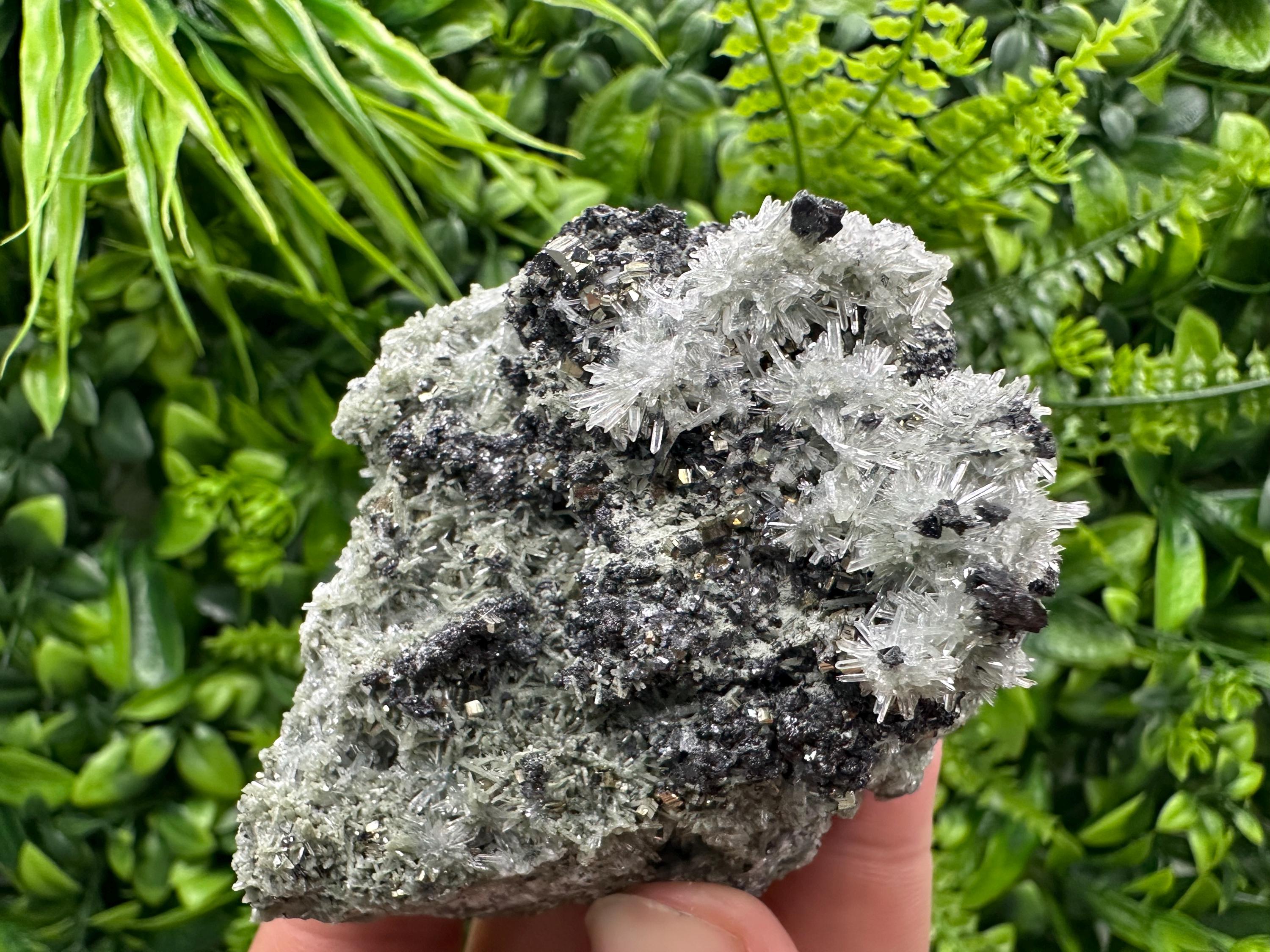 Sphalerite Pyrite on Quartz with Chlorite, Borieva Mine Mineral Specimen