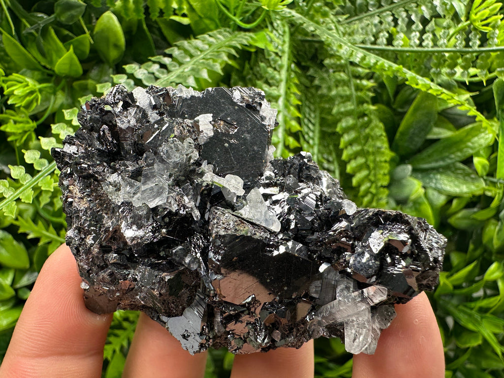 Borieva Sphalerite on Quartz: Rare Mineral Cluster