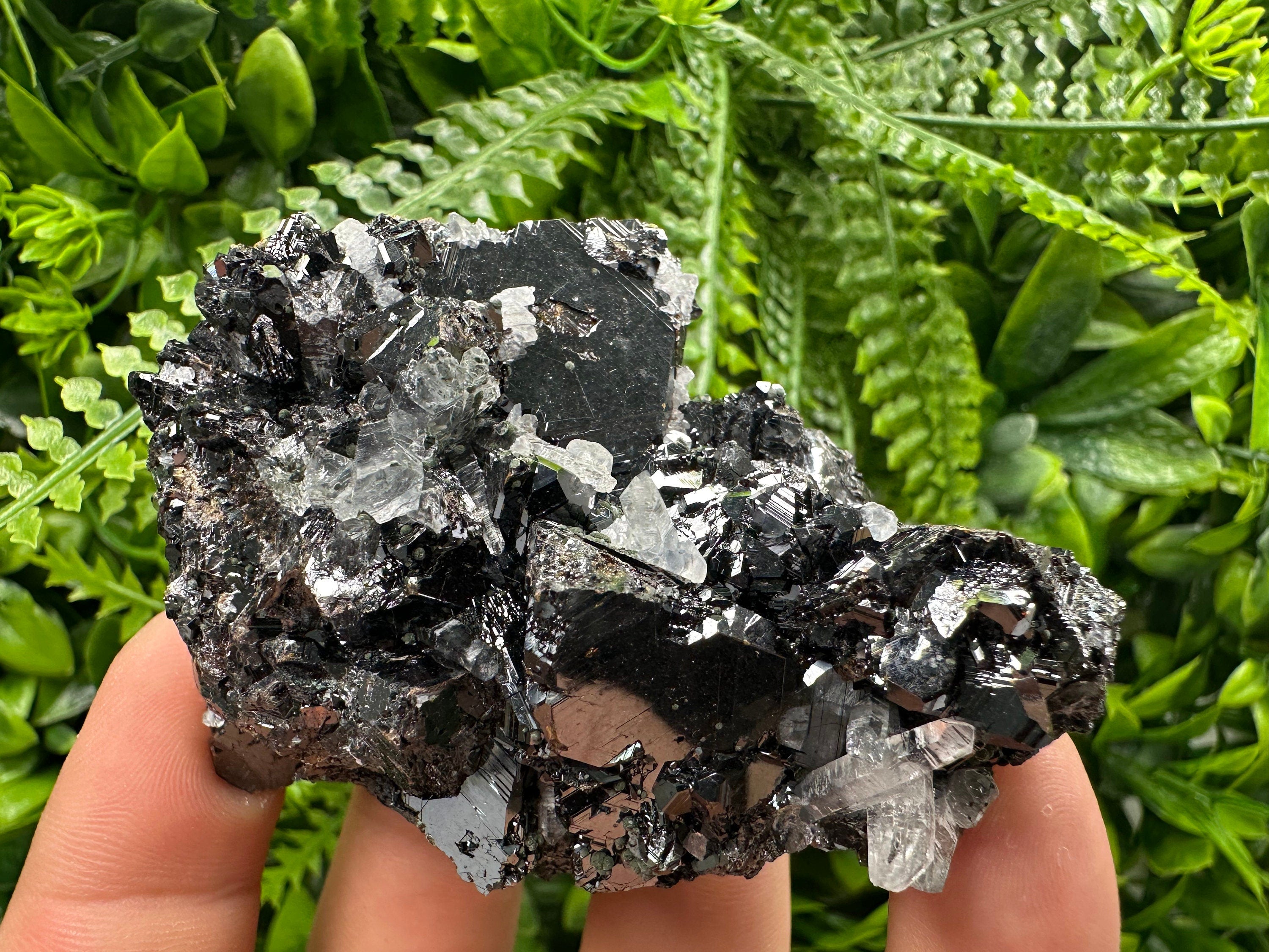 Borieva Sphalerite on Quartz: Rare Mineral Cluster