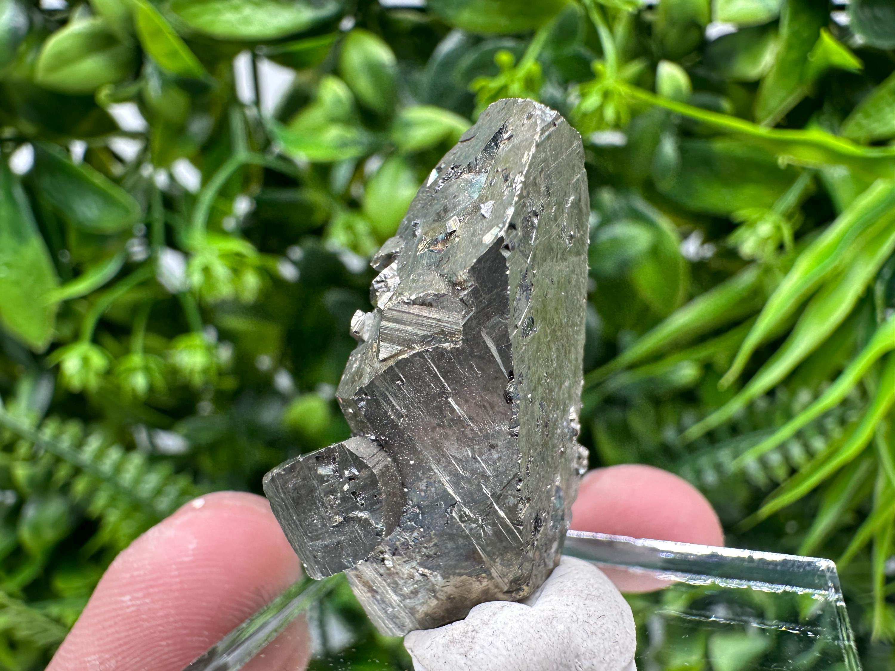 Rare Mini Pyrite Cluster: Borieva Mine, Bulgaria