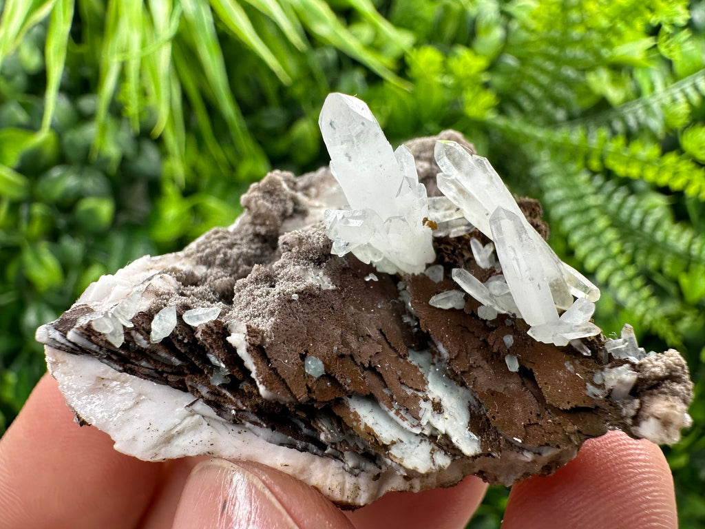 Quartz with Chlorite, Rhodochrosite, Siderite Crystal Home Decor