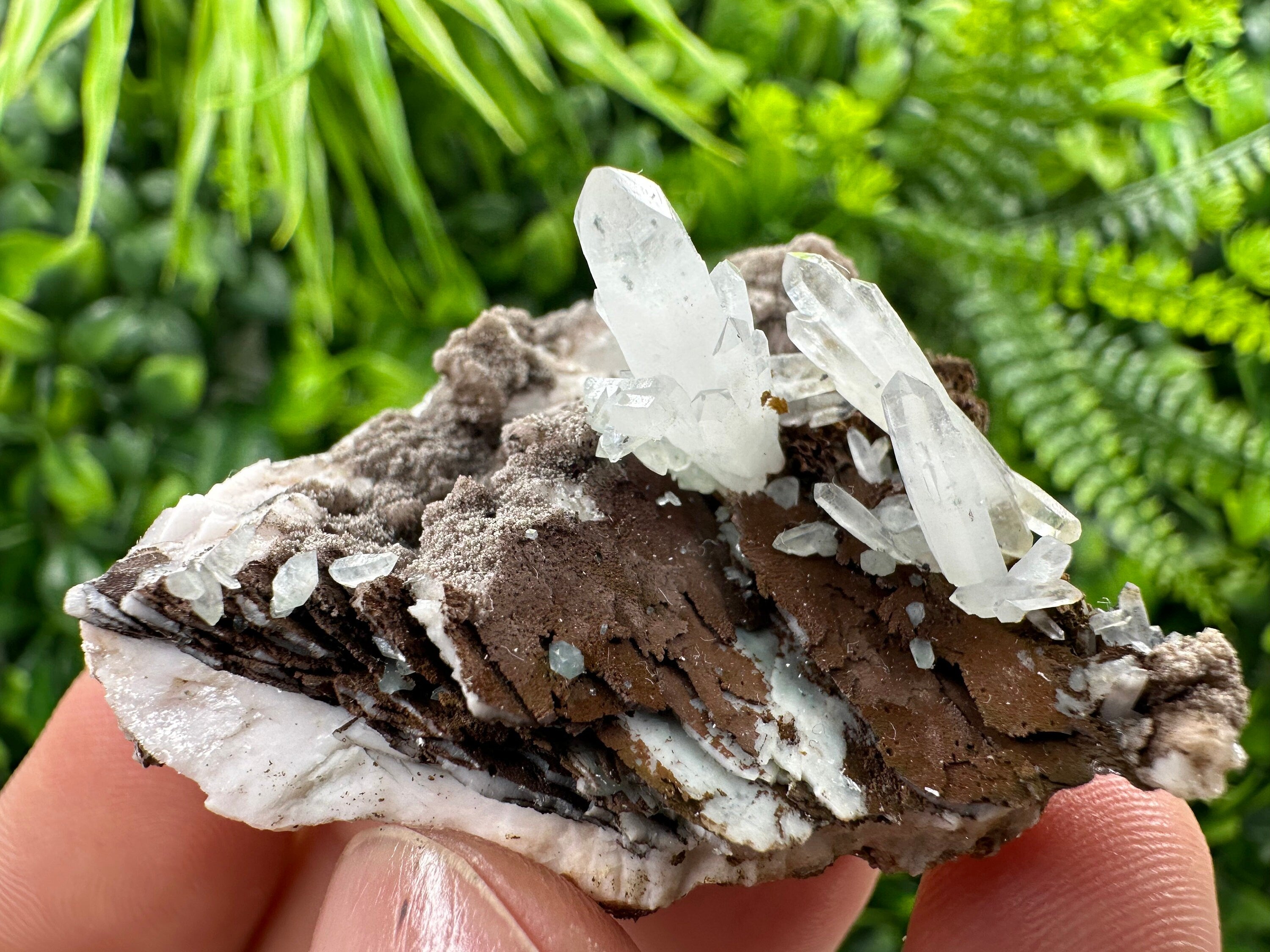 Quartz with Chlorite, Rhodochrosite, Siderite Crystal Home Decor