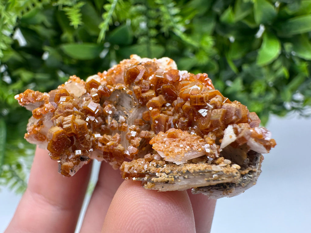 Red Vanadinite on Barite from Marocco,crystal minerals Speciment cluster Vanadinite crystal Vanadinite Geology Vanadinite cluster minerals
