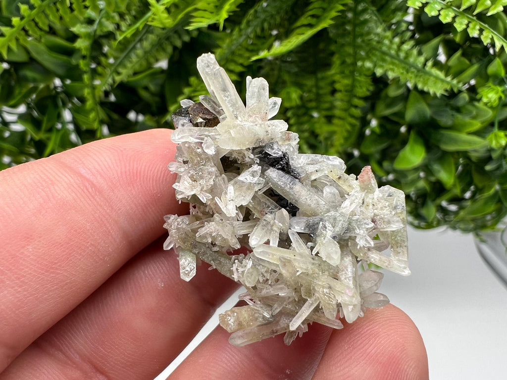 Sphalerite Chalcopyrite on Green Quartz with Hematite, Bulgaria Mineral Specimen