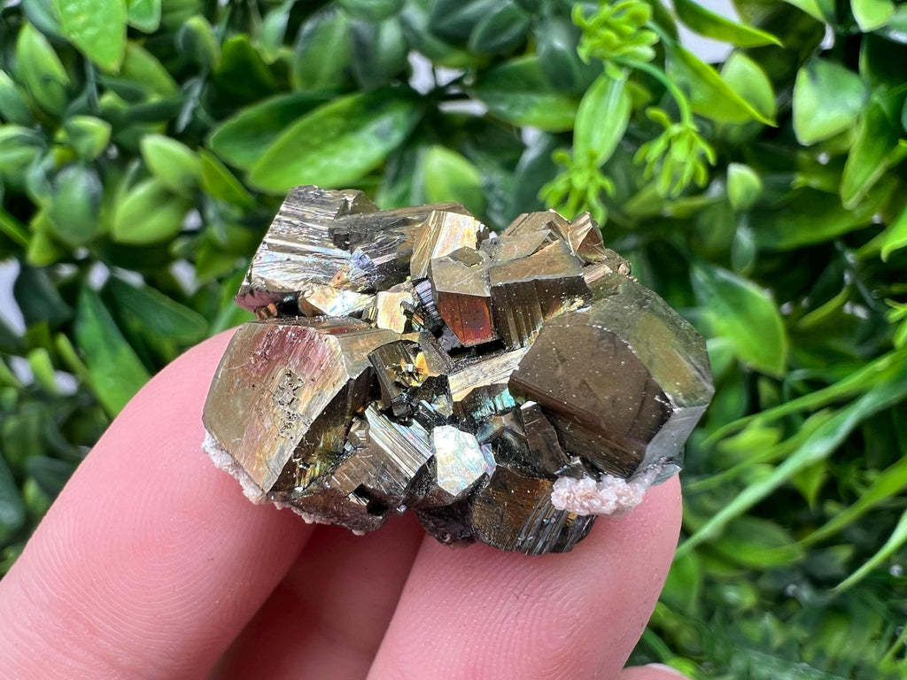 Mini Rainbow Pyrite Cluster: Borieva Mine, Bulgaria
